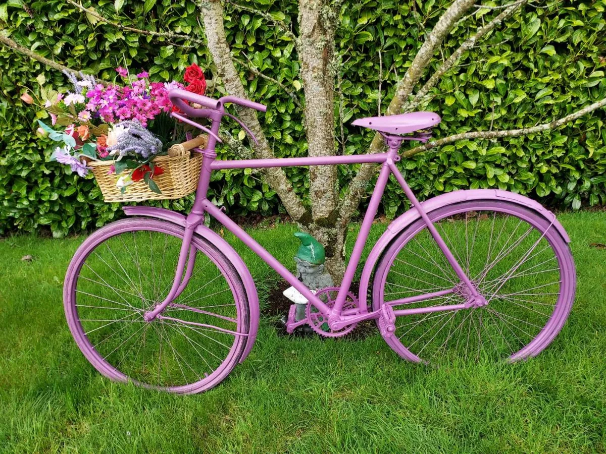 Garden bike - Image 2