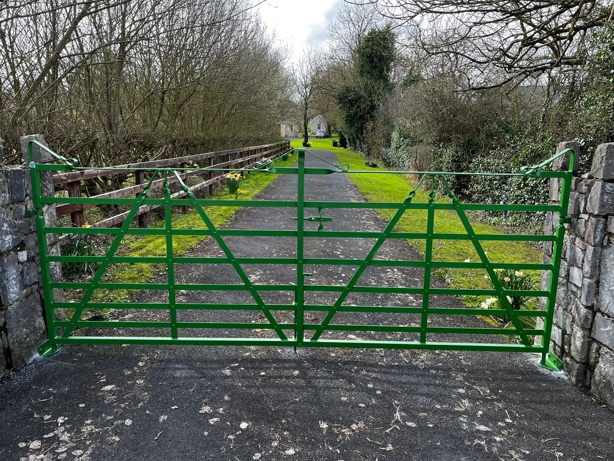Traditional gates/cottage gates - Image 1
