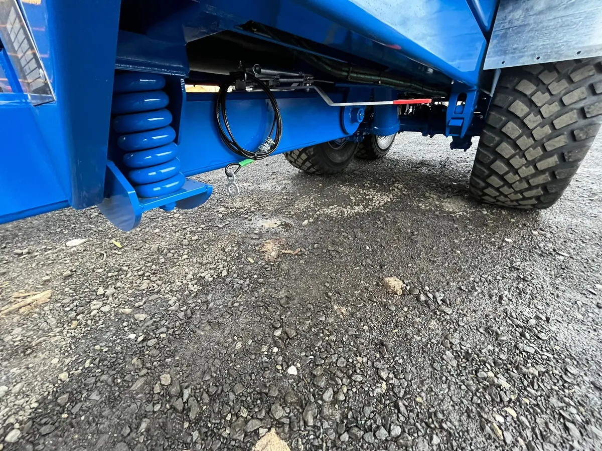 20t Hogg dump trailer - Image 2