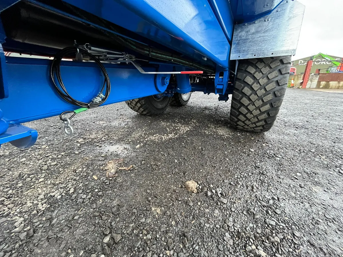 20t Hogg dump trailer - Image 4