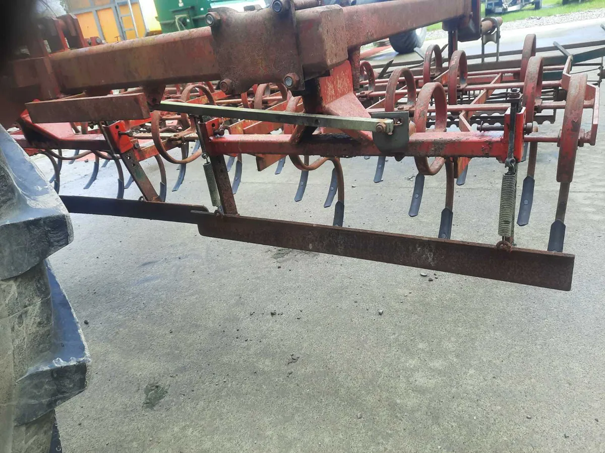 Vogel And Noot  Tine Harrow - Image 4