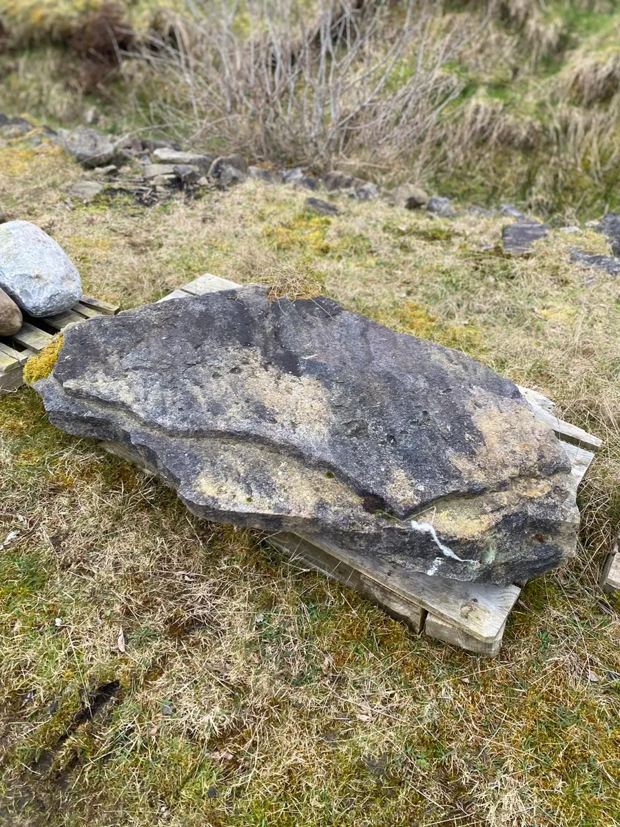 Waterfall Large Old Sandstone Flagstone - Image 3