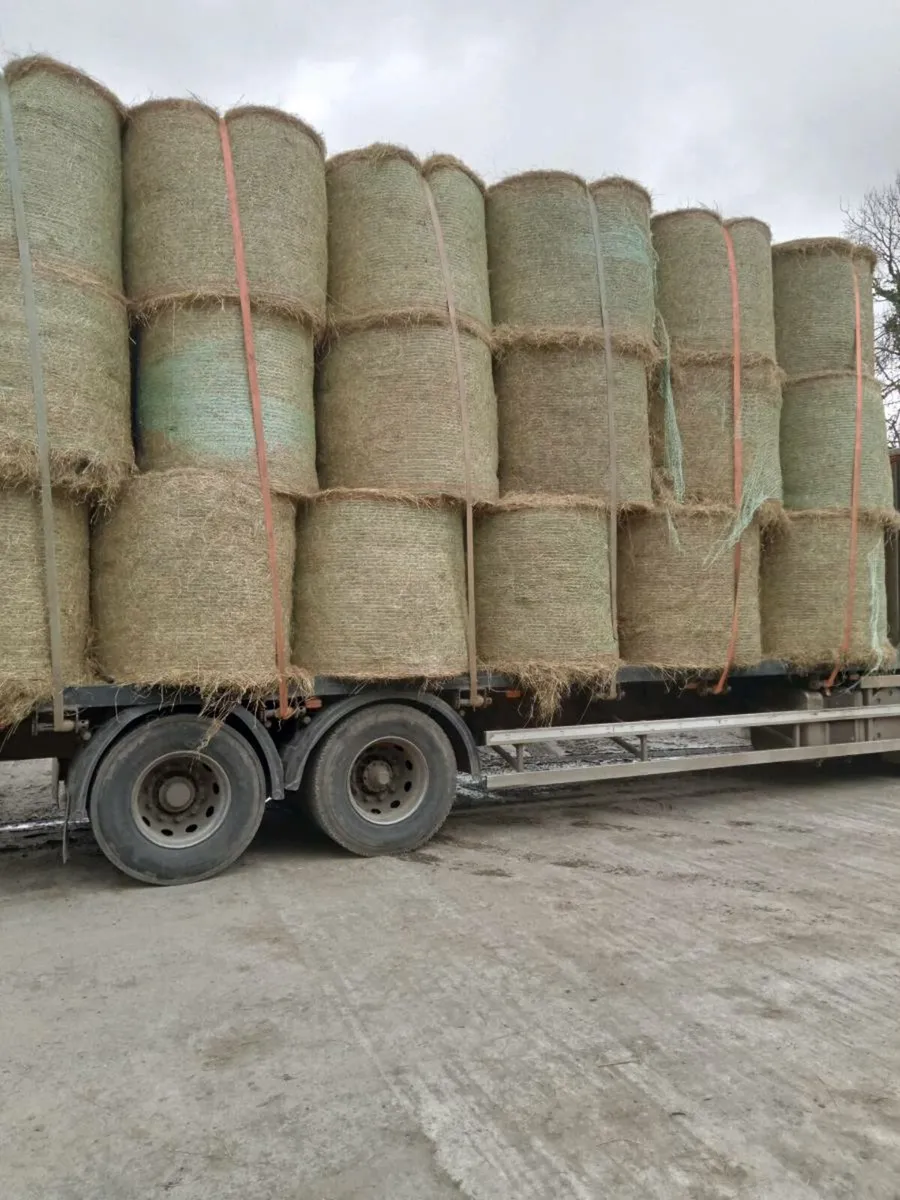 Hay  & straw delivered - Image 2