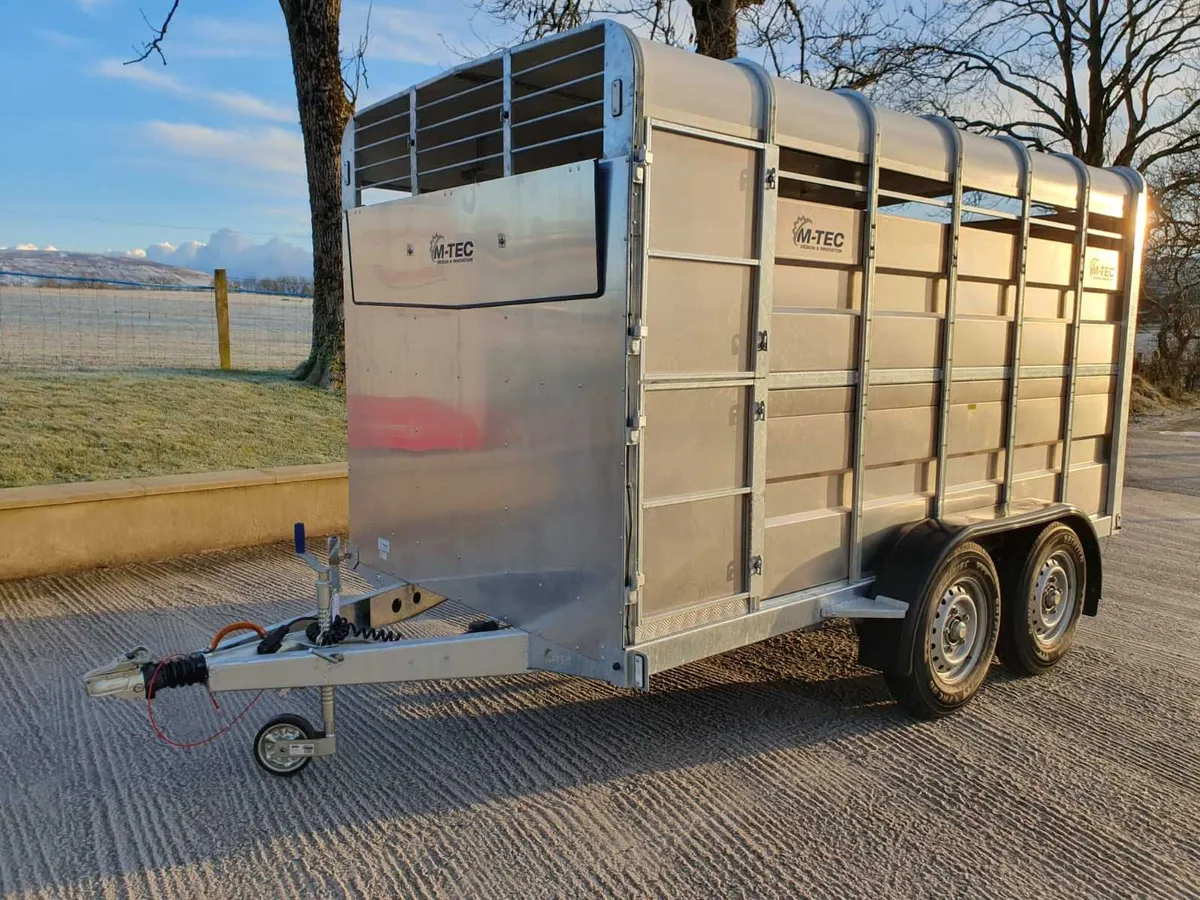 New M-Tec 12 x 6 Livestock Trailer - Image 2