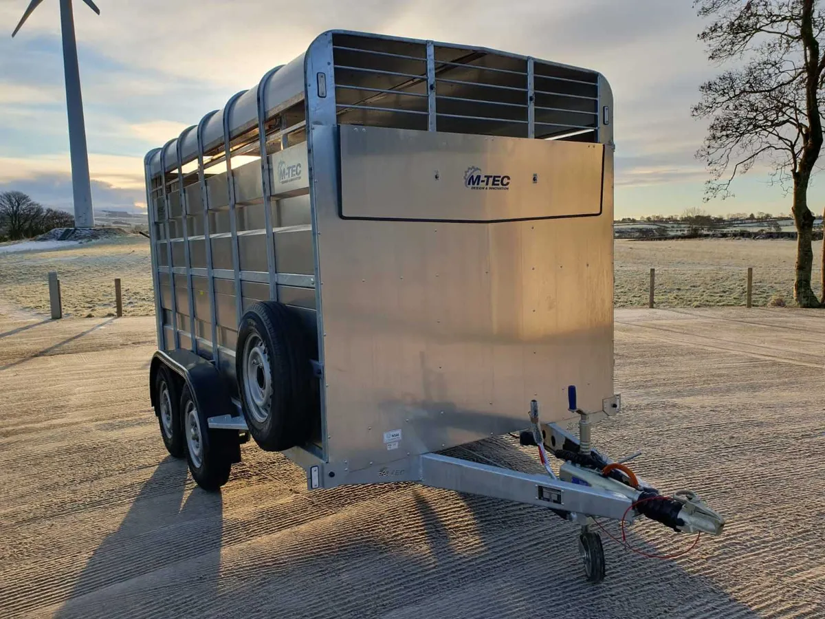 New M-Tec 12 x 6 Livestock Trailer - Image 3