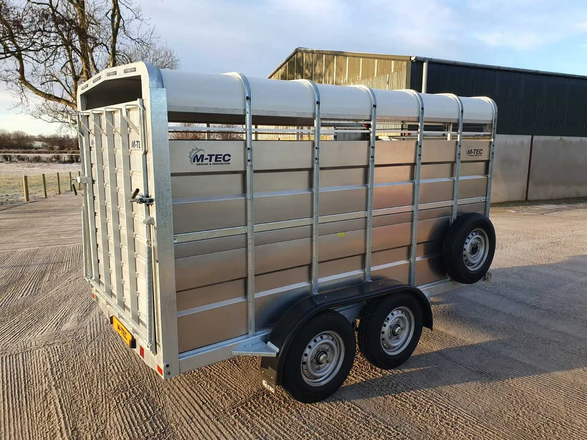 New M-Tec 12 x 6 Livestock Trailer - Image 4