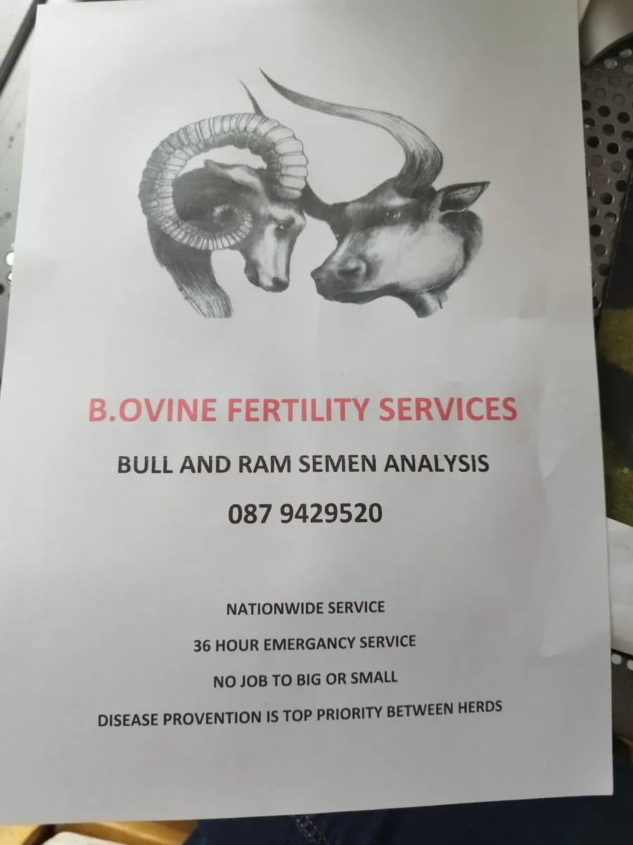 B.Ovine Fertility Bull test Ram test for sale in Co. Cork for €30 on
