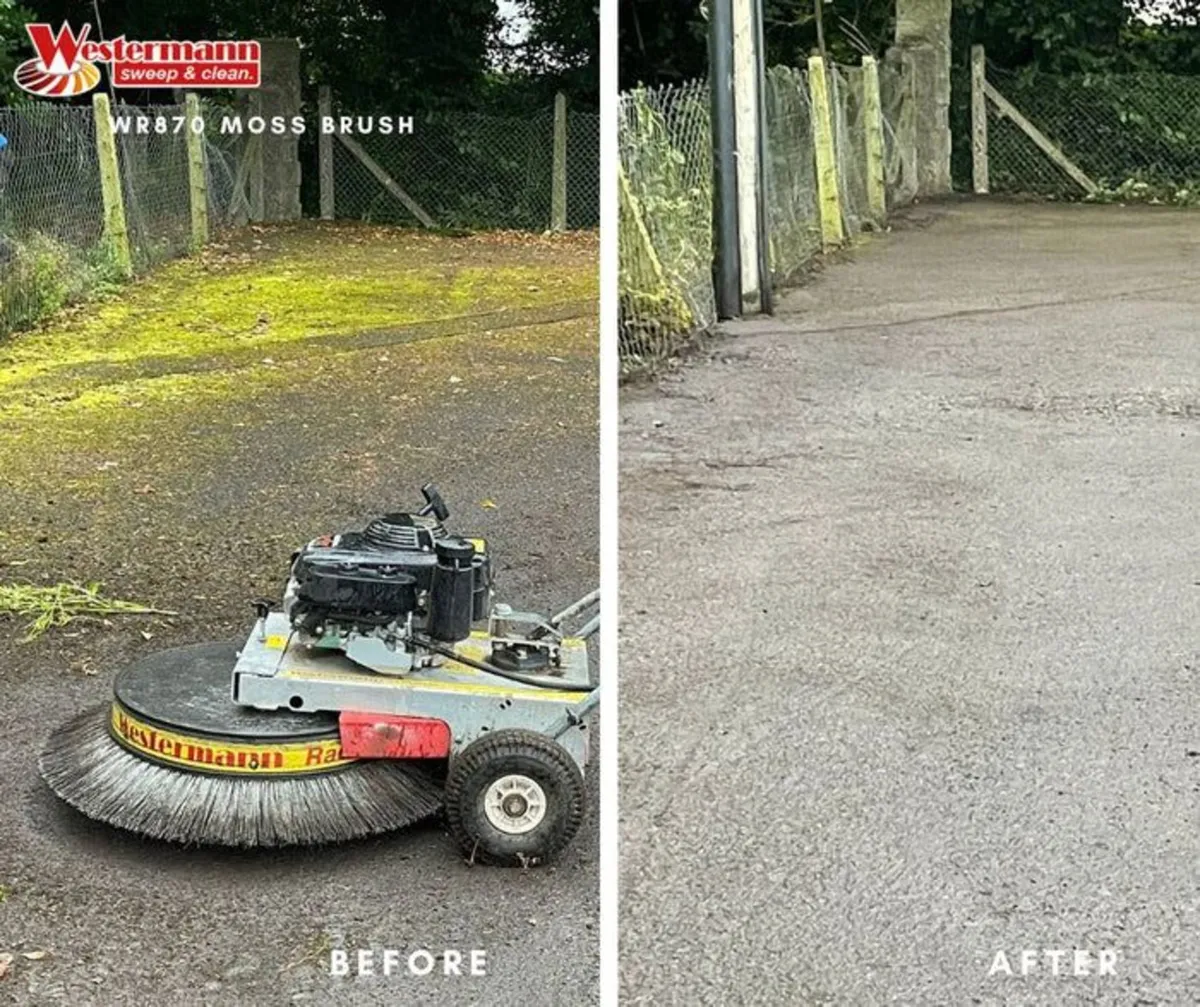 sweeper brush astro turf brush moss sweeper - Image 4
