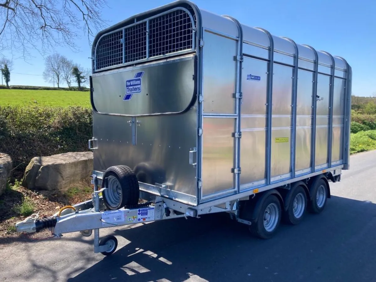 NEW Ifor Williams DP120 12x6’6 Tri cattle trailer