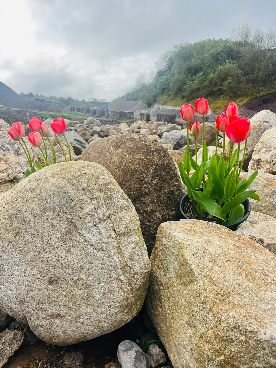 Stone - Image 2