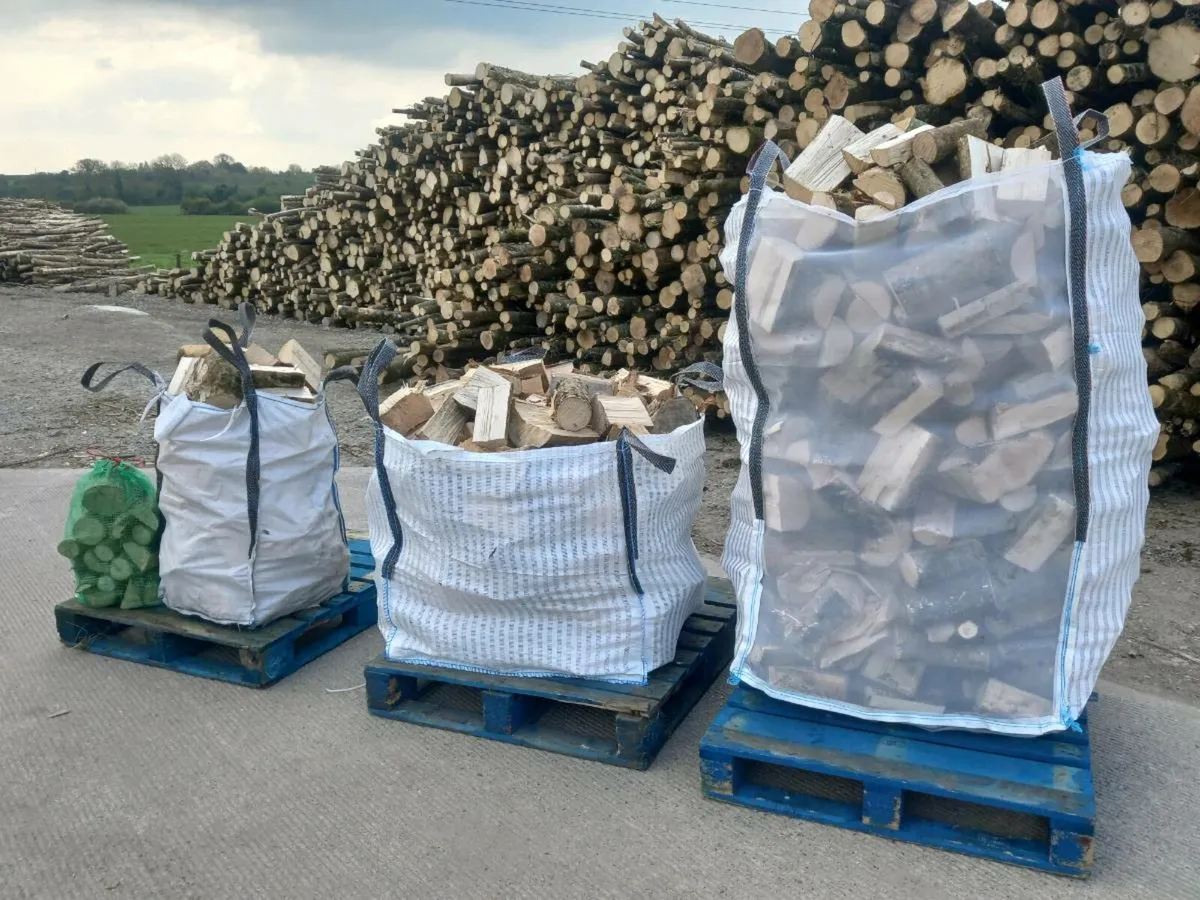 Dry Ash firewood Xl Bags - Image 3