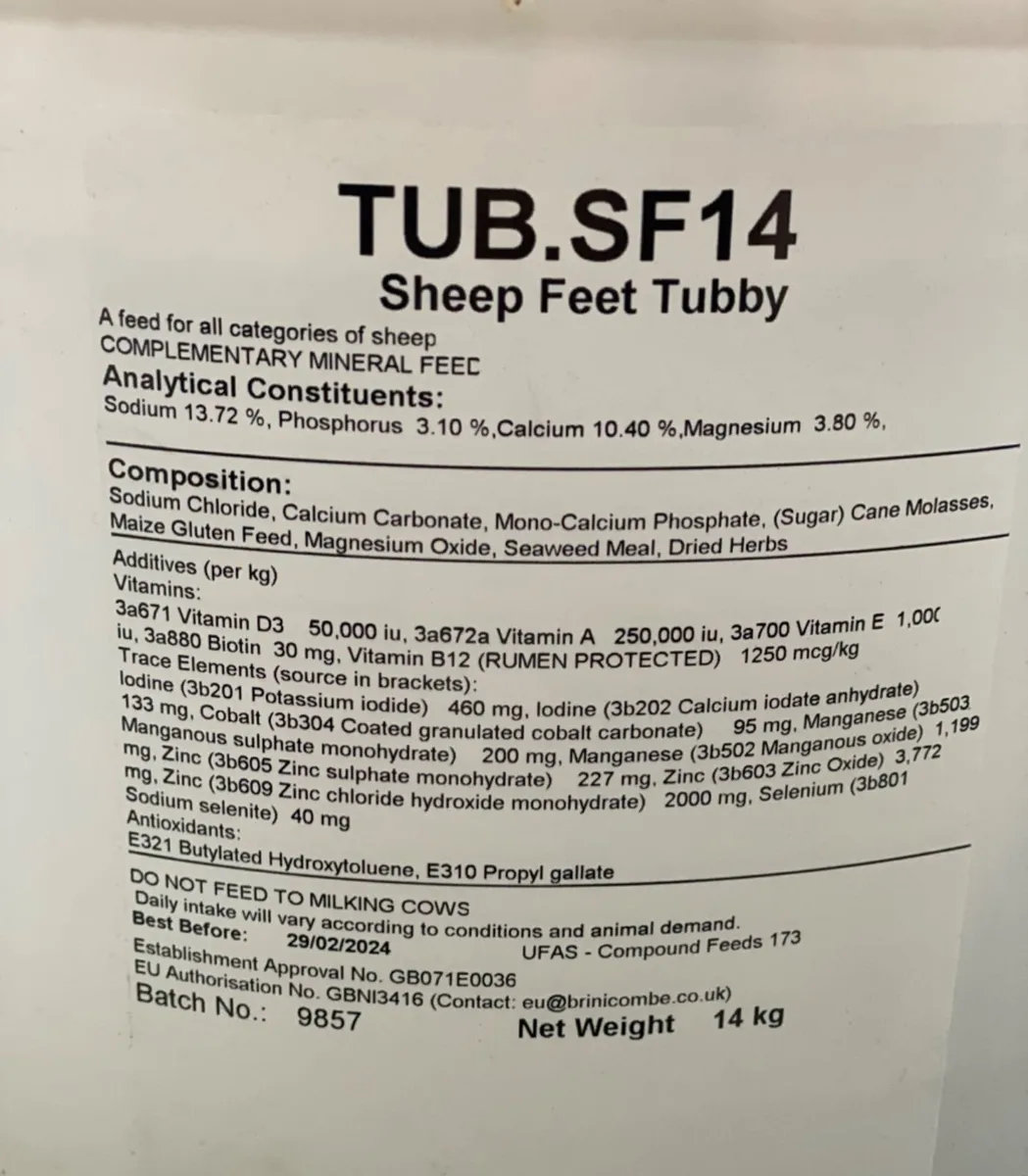 Bad Feet in Sheep - Image 4