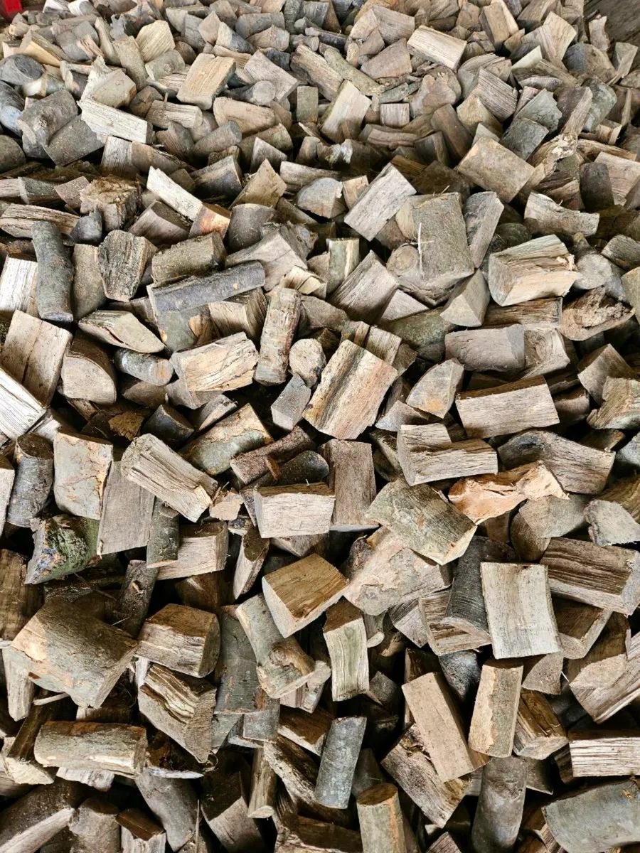 Firewood - Image 2