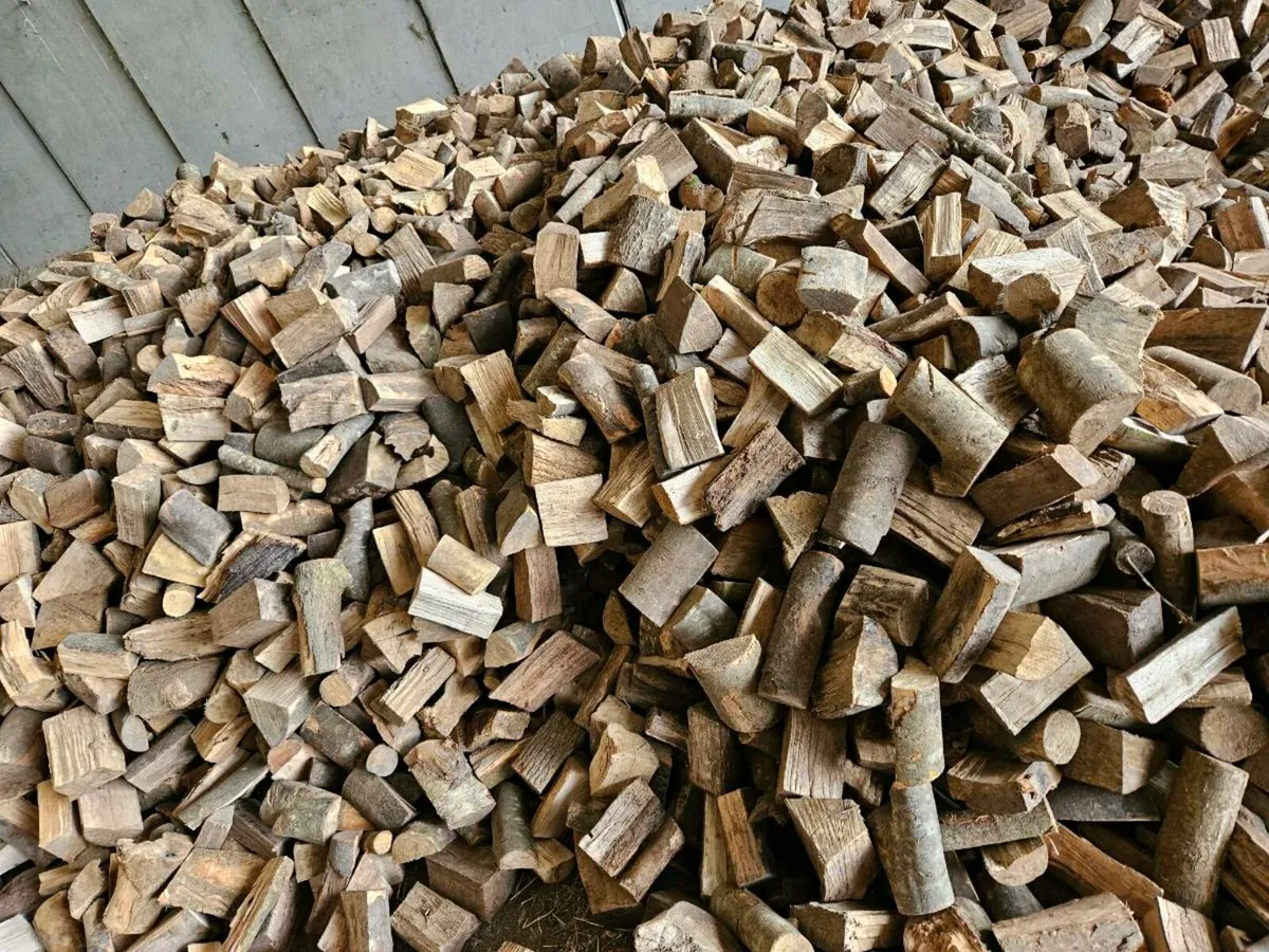 Firewood - Image 1