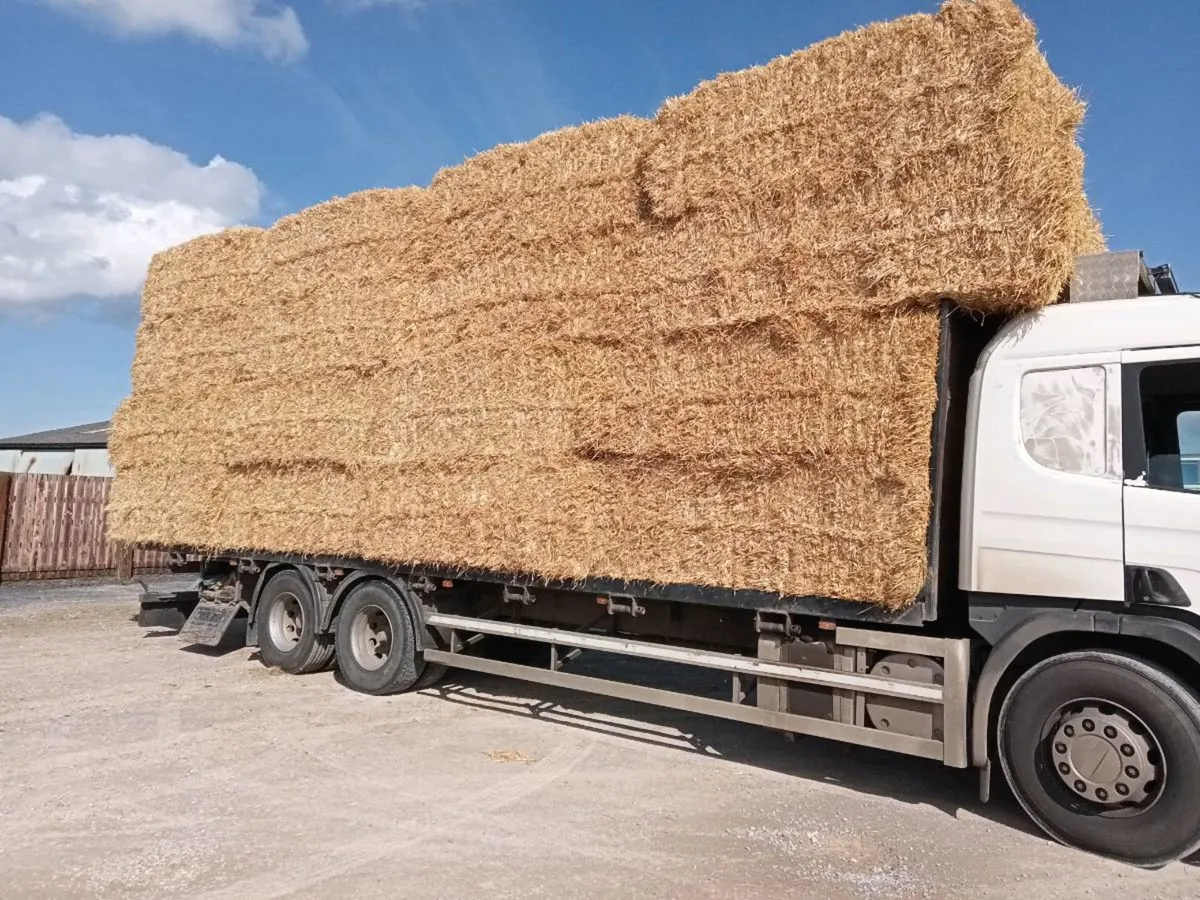 Hay  & straw delivered - Image 1