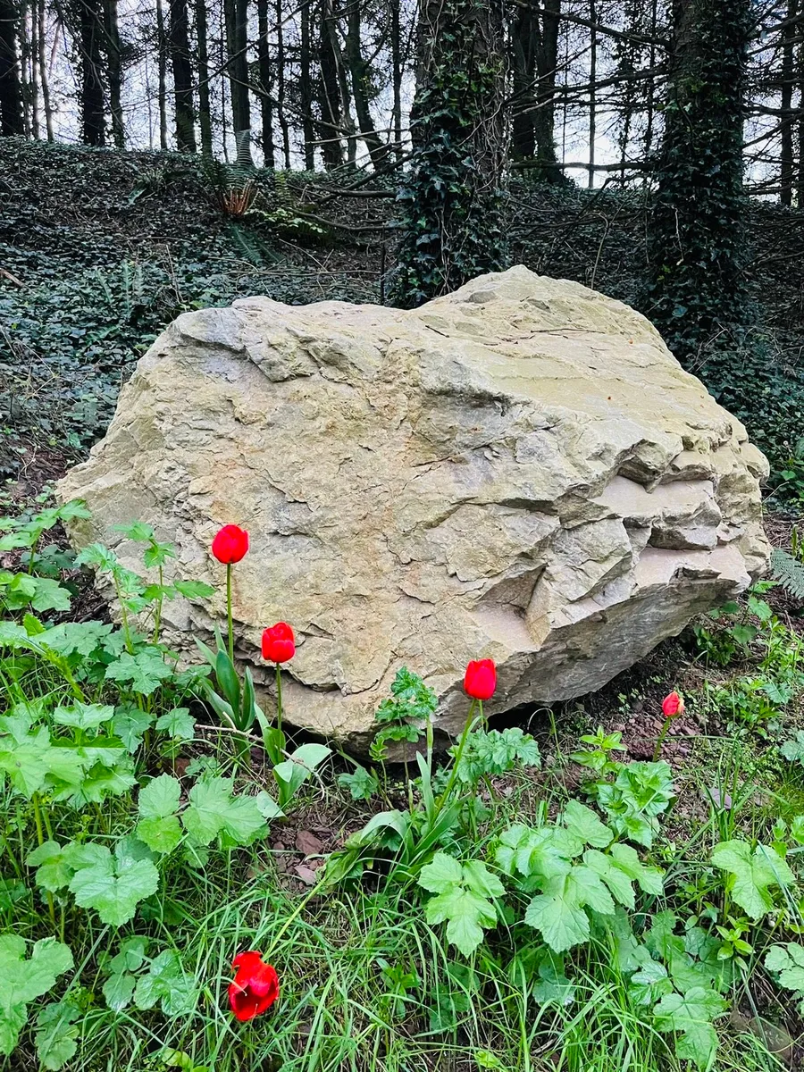 Stone - Image 4