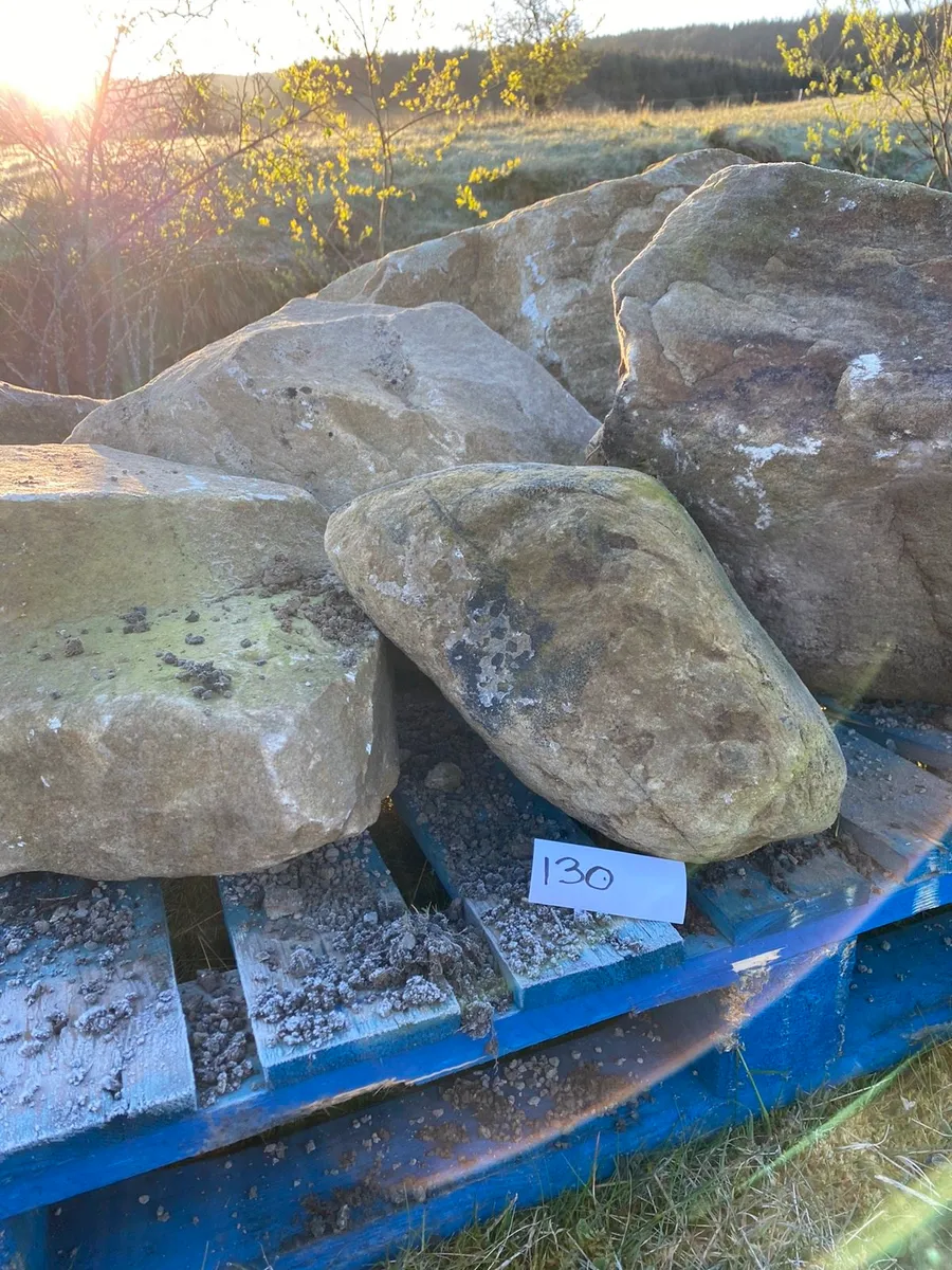 6 Donegal Cream Sandstone Boulders (130ref) - Image 3