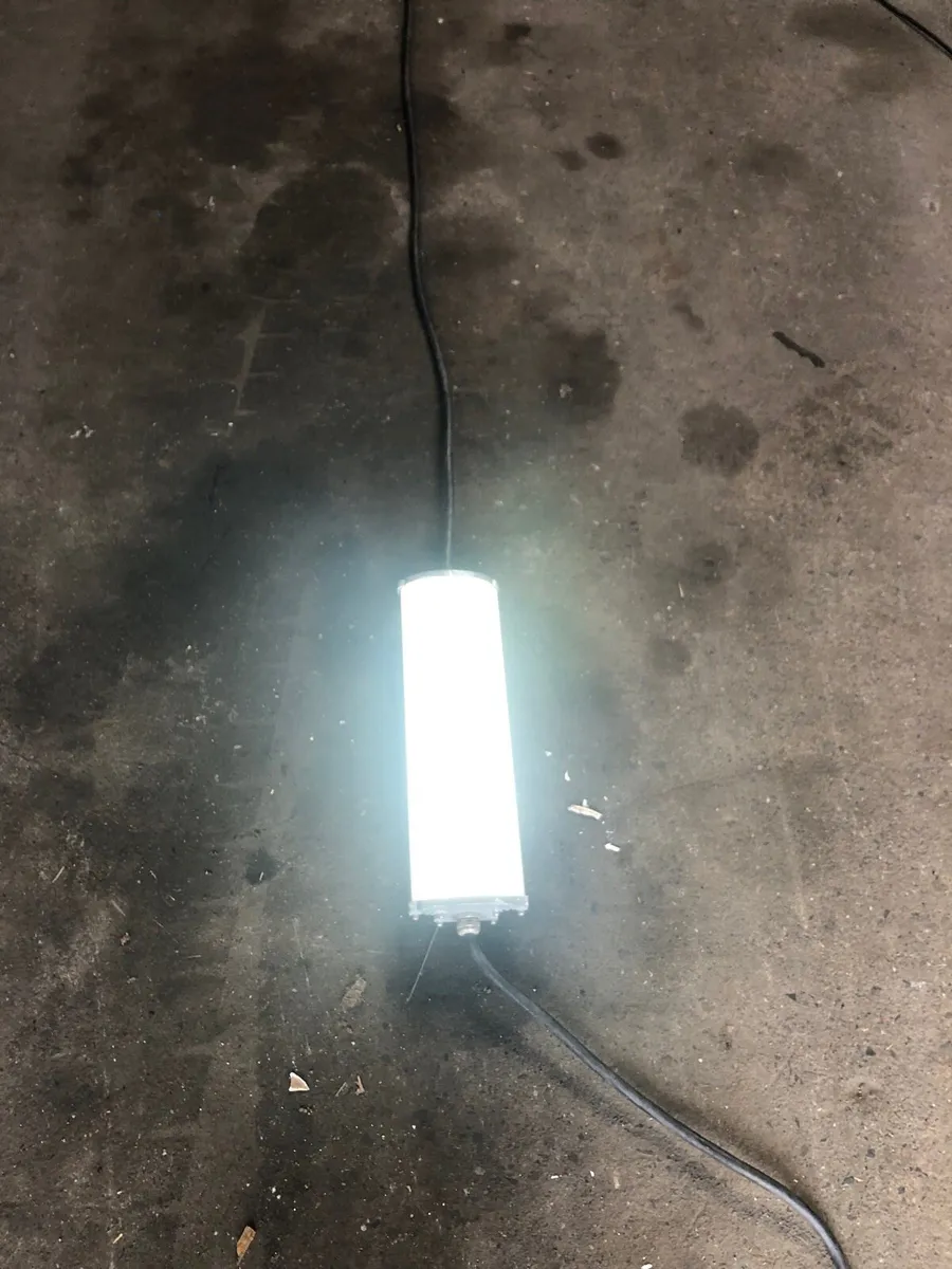 LED Temporary Light Fittings - Image 1