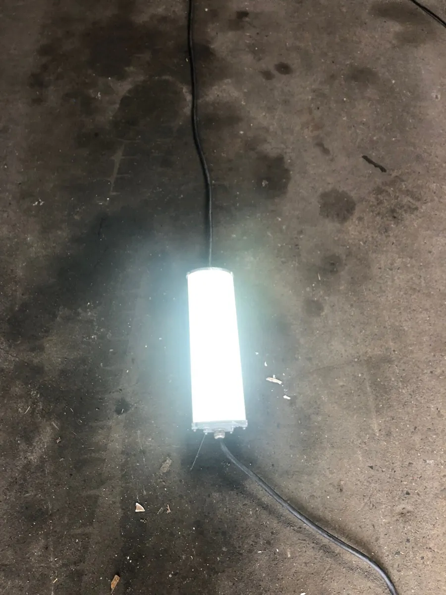 LED Temporary Light Fittings