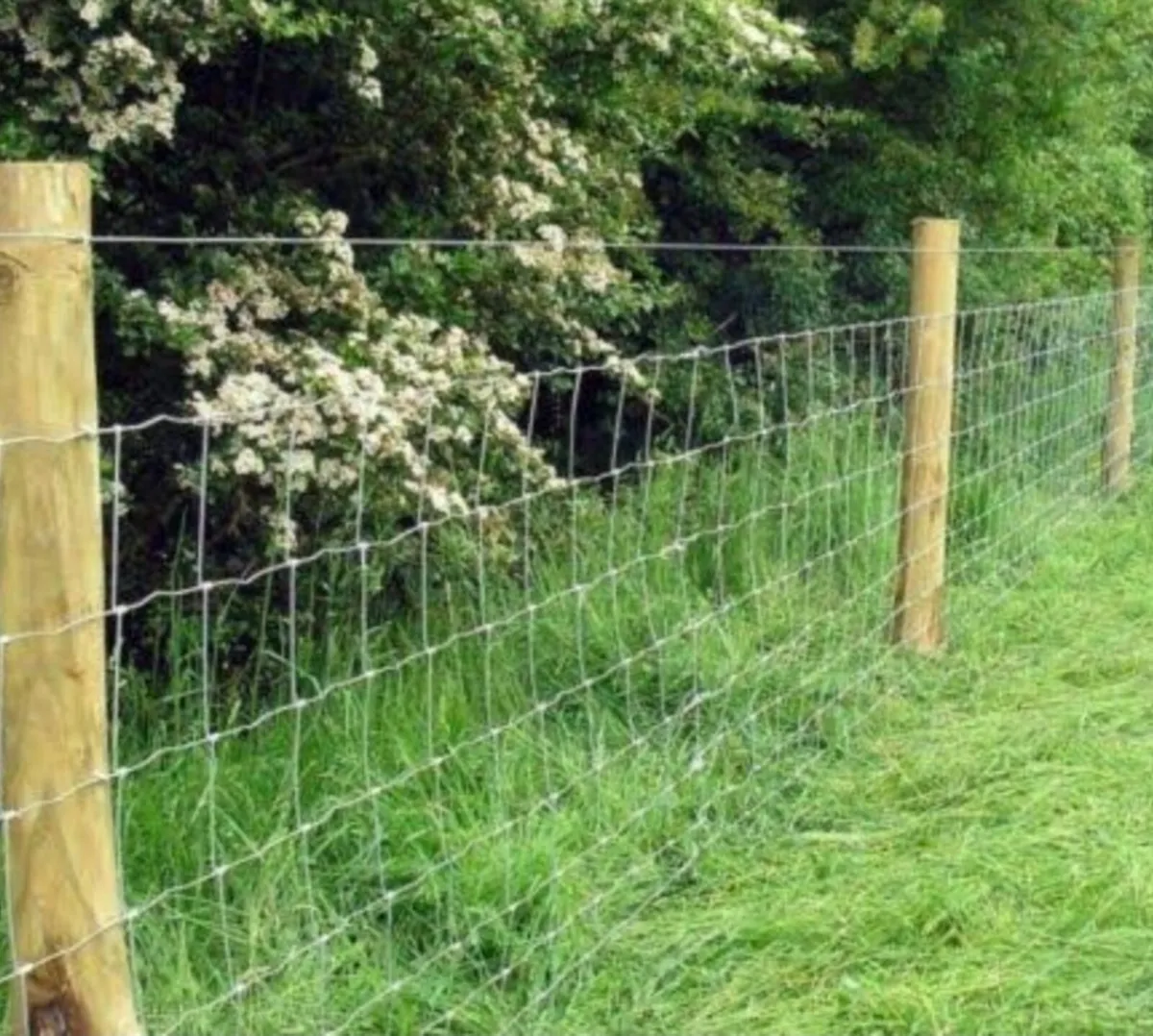 Fencing services - Image 2