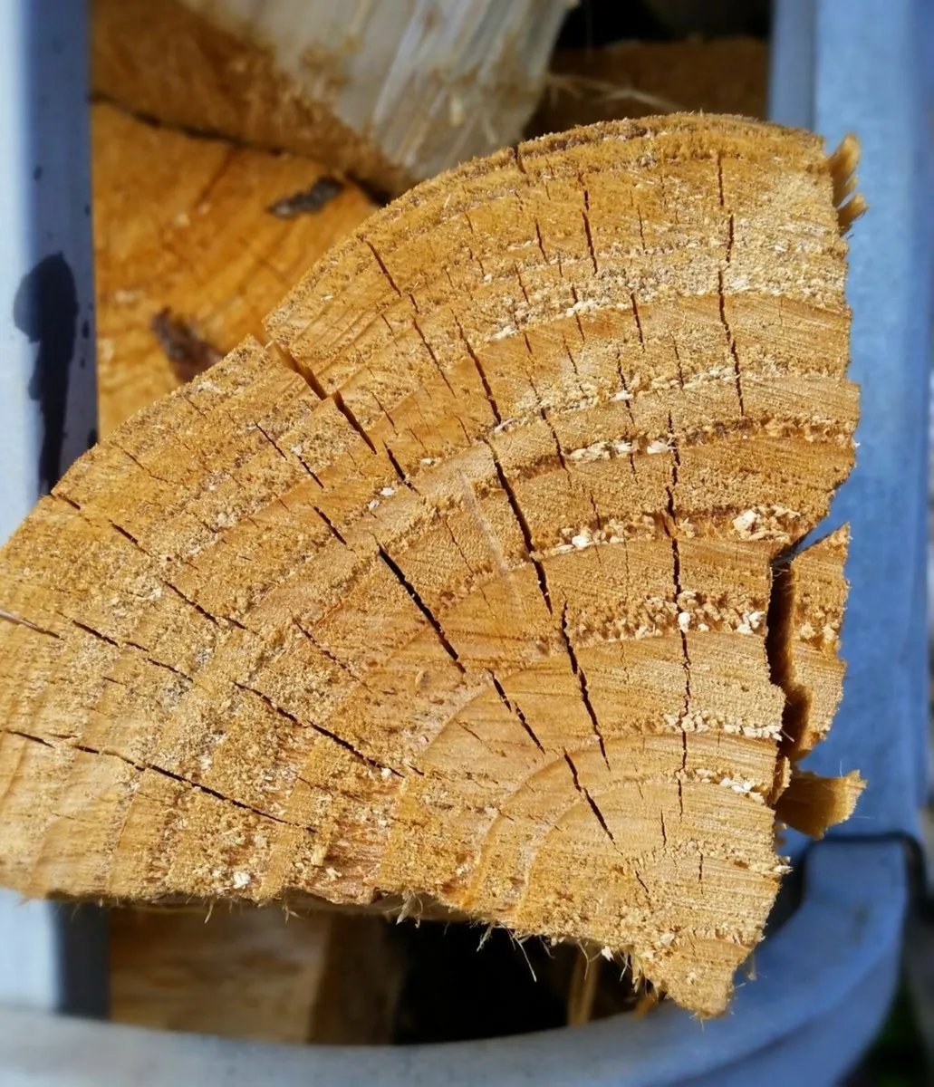 Seasoned Firewood - Split Logs Bulk Load - Image 2