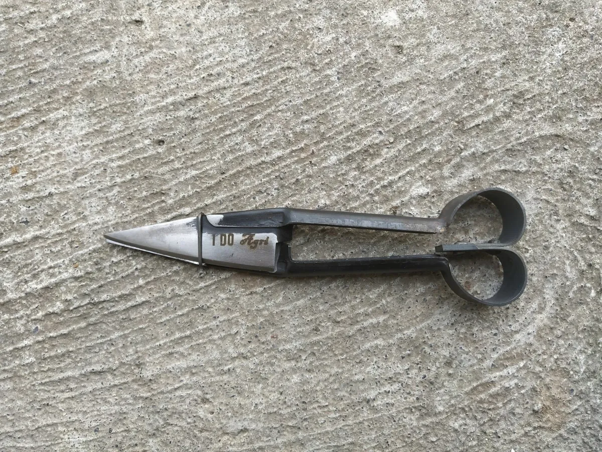 Dagging Shears 4.3" - Handheld Sheep Shears - Image 1