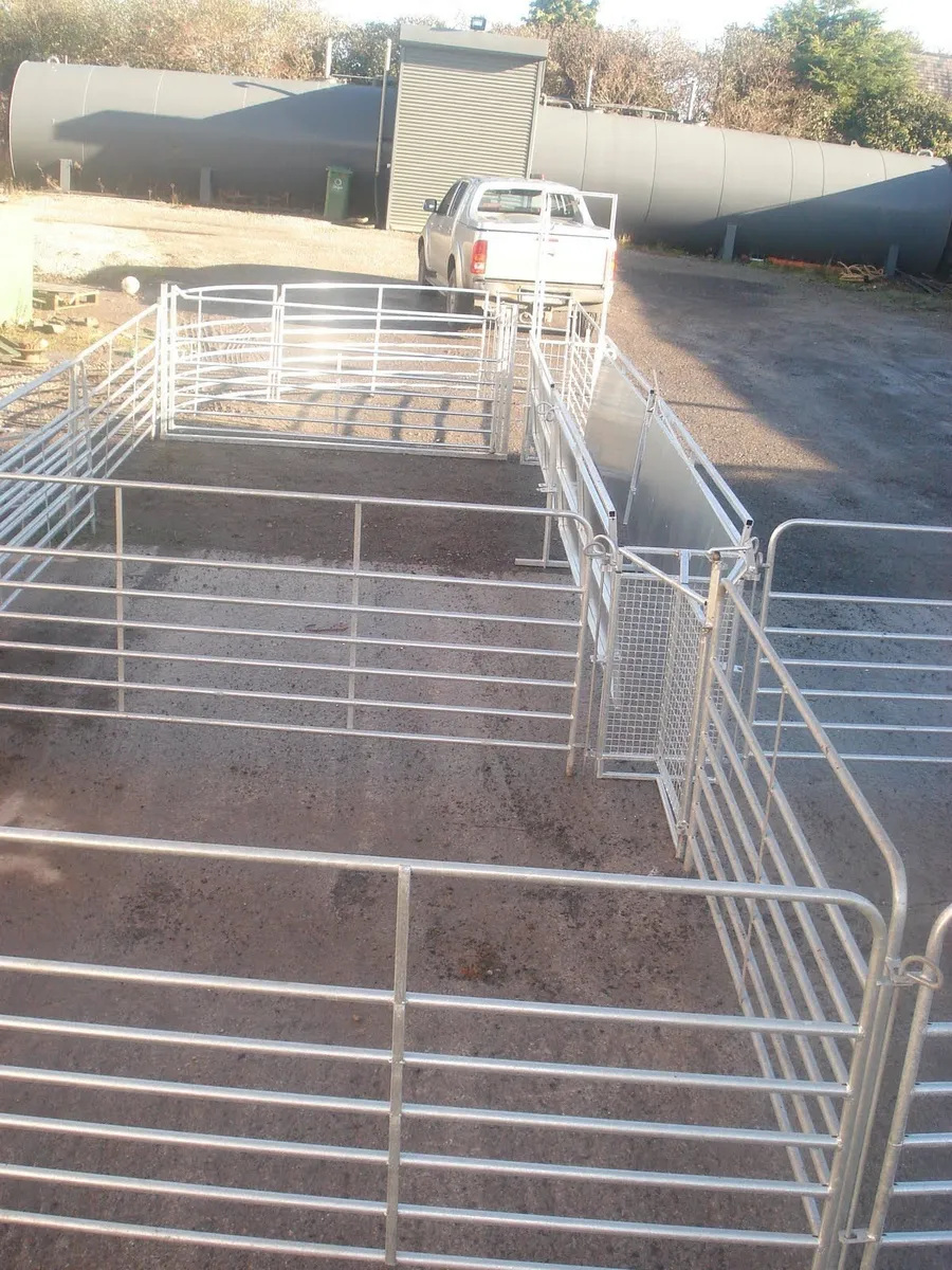 Weighing scales, Sheep race - Image 4