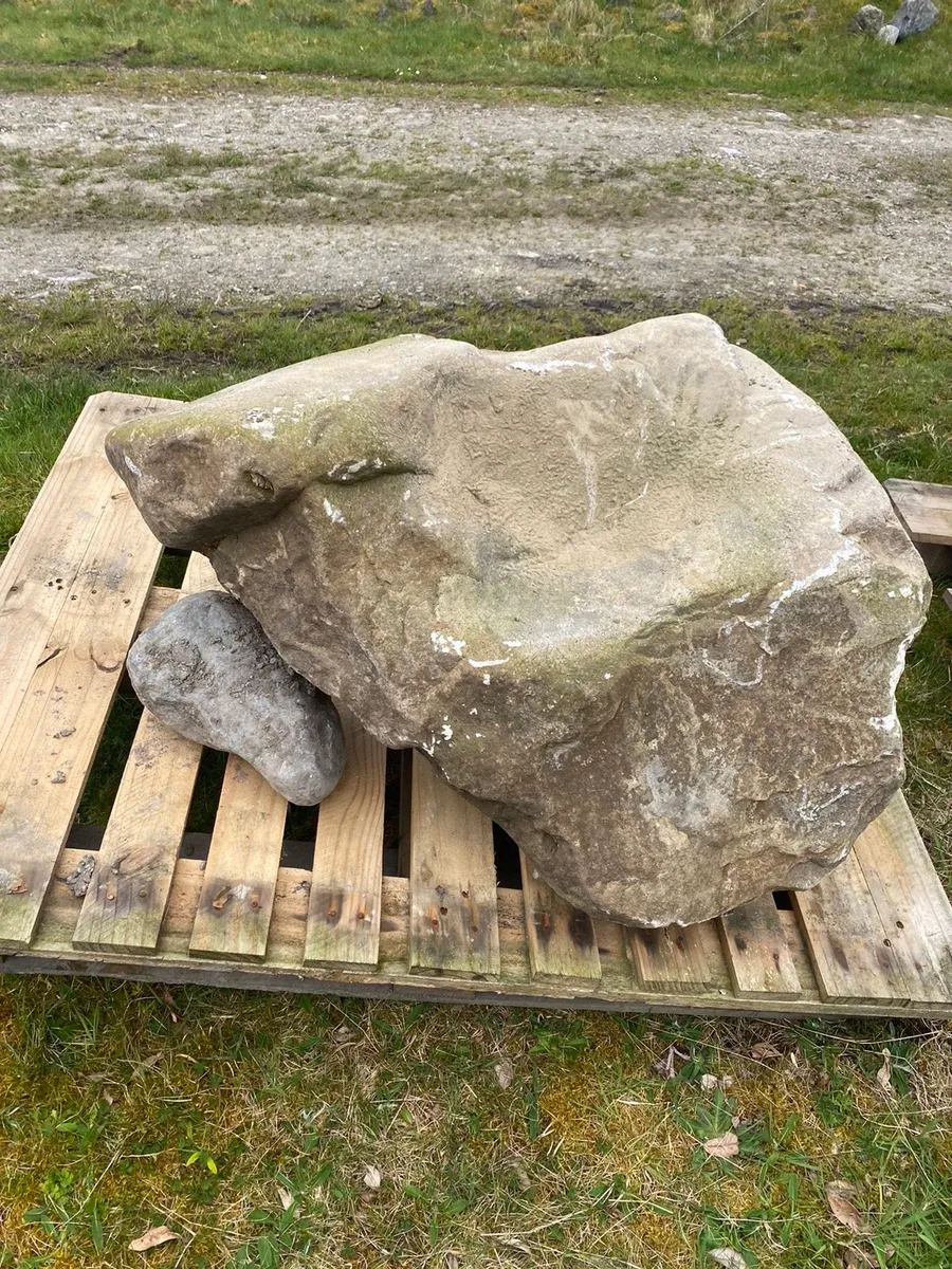 Dinosaur Head Garden Boulder ( large ) - Image 1