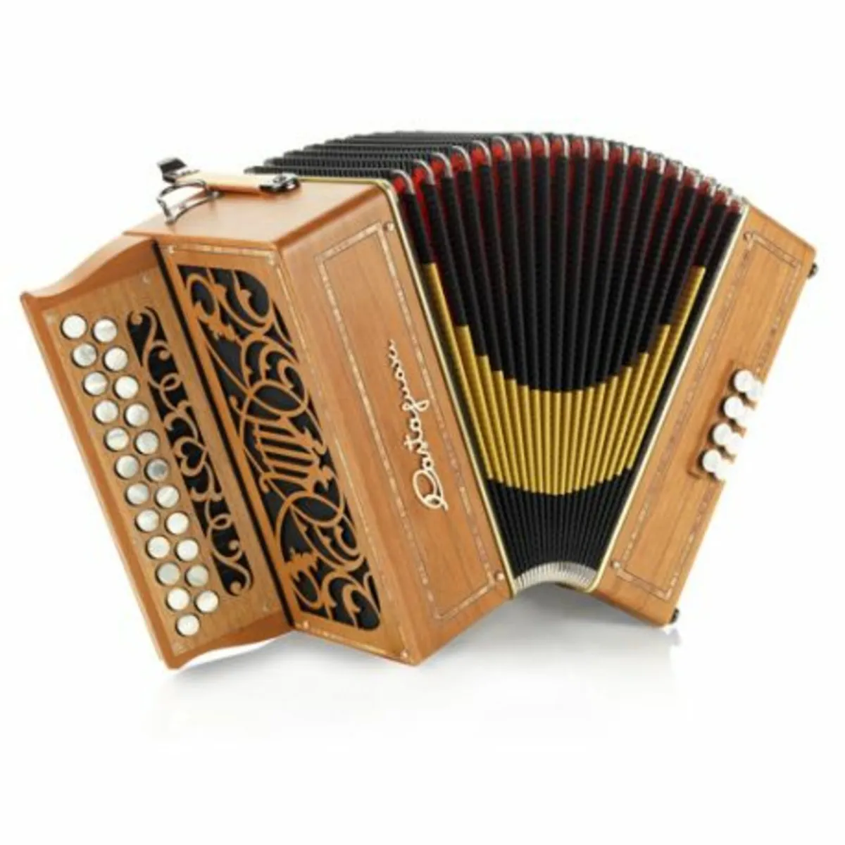 Ciacy - Castagnari Accordion - Image 1