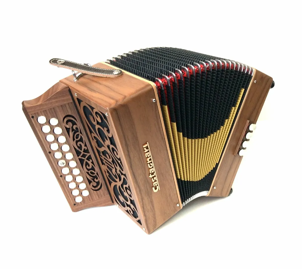 Studio (Student Ciacy) - Castagnari Accordion - Image 1