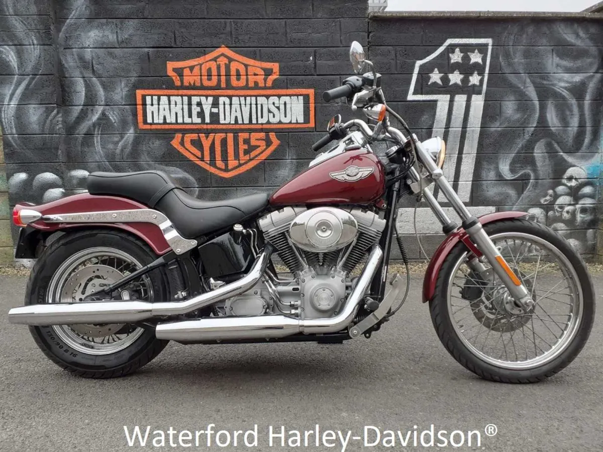 2001 harley deals davidson softail standard