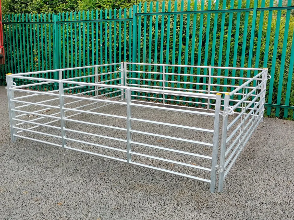 10ft calf hurdles - Image 2