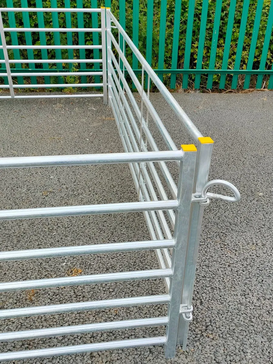 10ft calf hurdles - Image 4