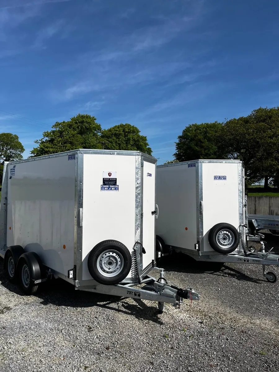 Ifor Williams box van (in stock) - Image 1