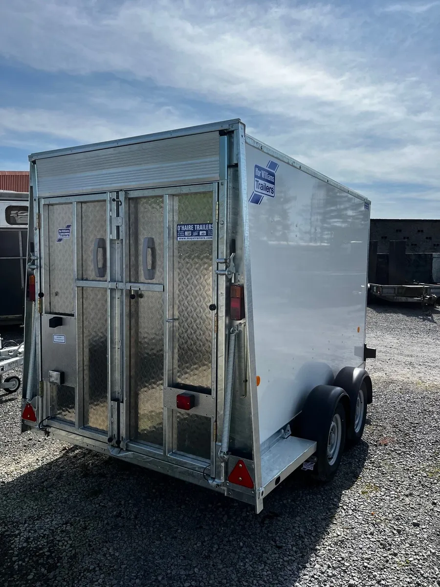 Ifor Williams box van (in stock) - Image 2