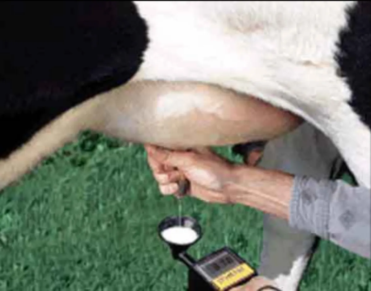 Draminski Mastitis Detector for sale at FDS - Image 3