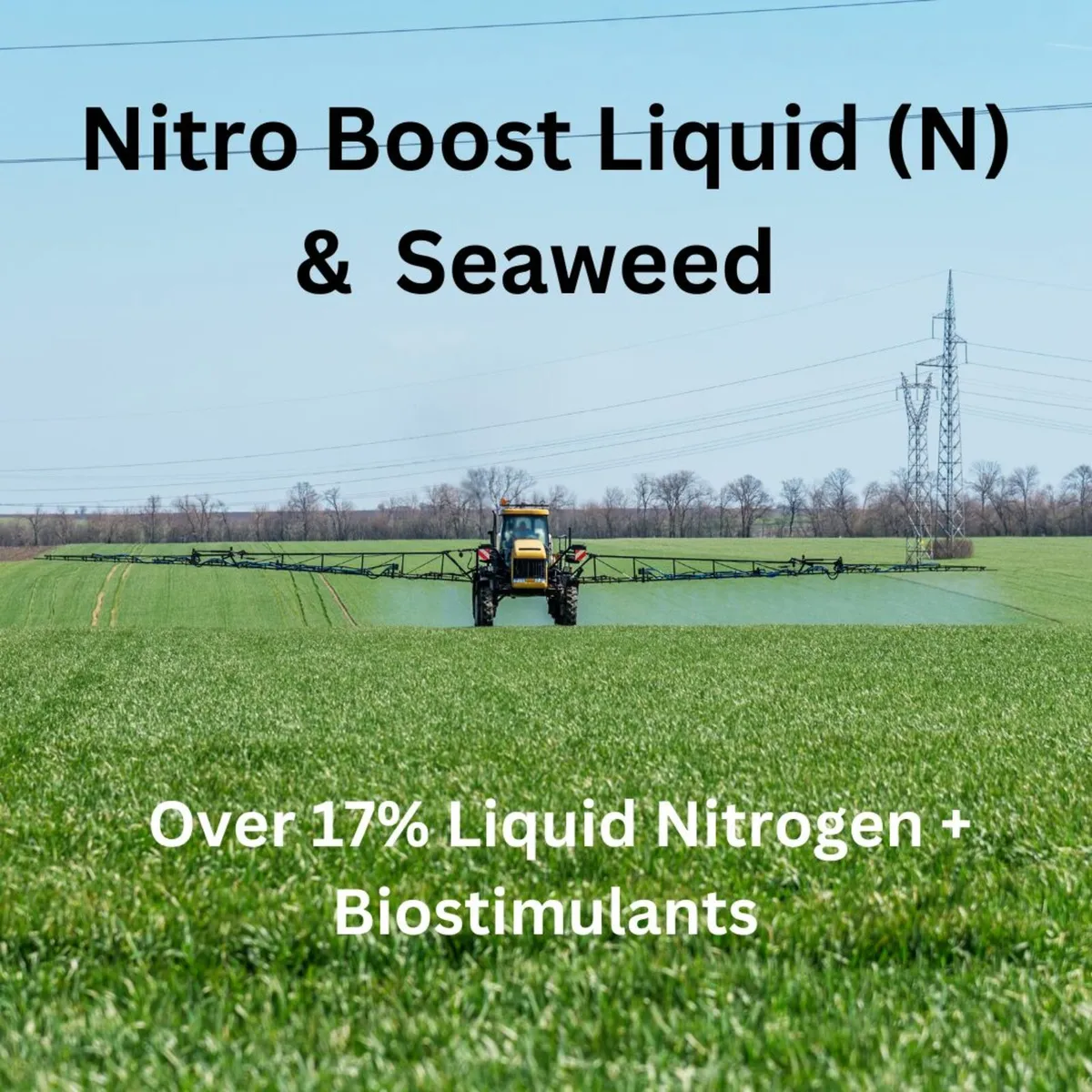 18% Liquid nitrogen & Seaweed - Image 1