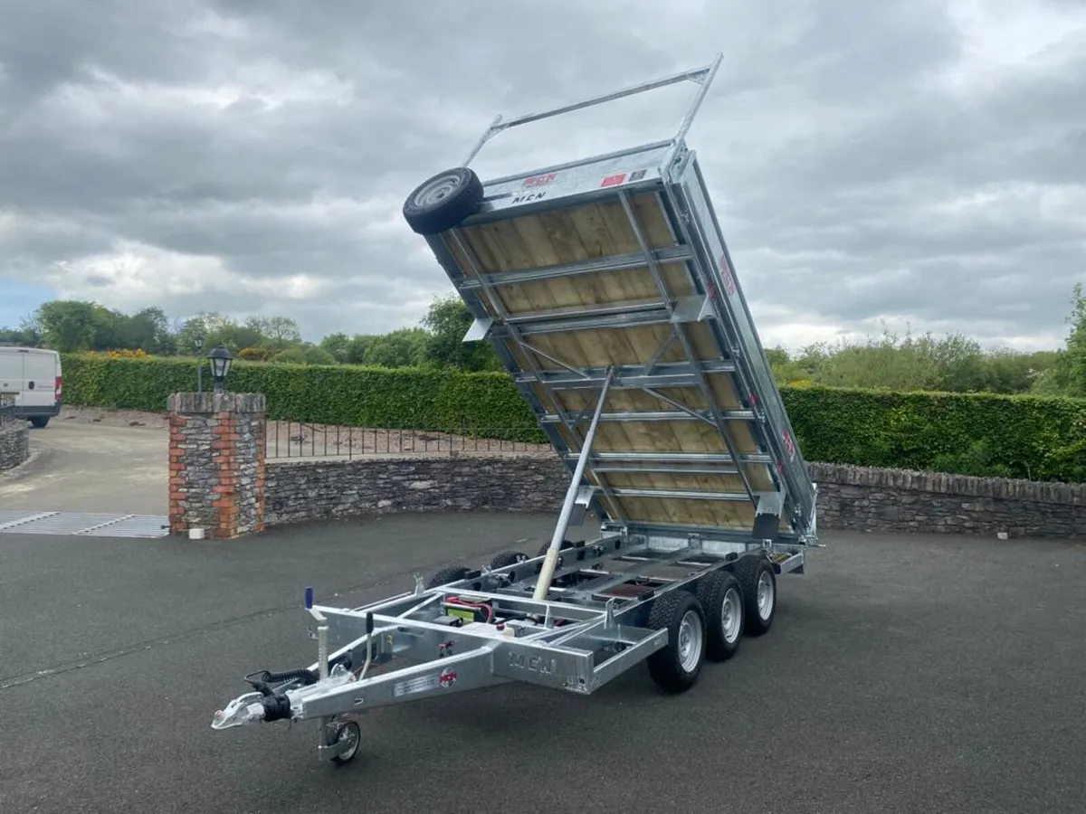 12ft Tipper trailer builders trailer - Image 3