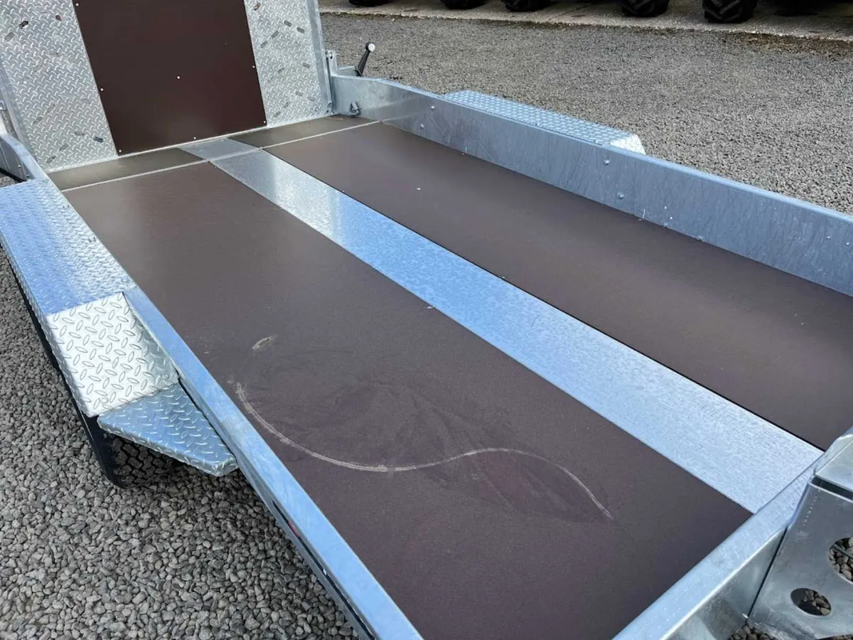 New Indespension 12x6 Beavertail Plant Trailer - Image 3