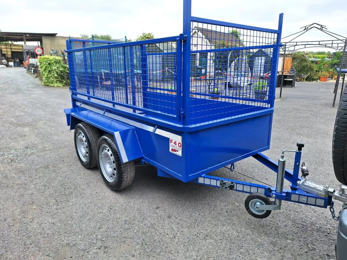 8x4 f40 trailer - Image 2