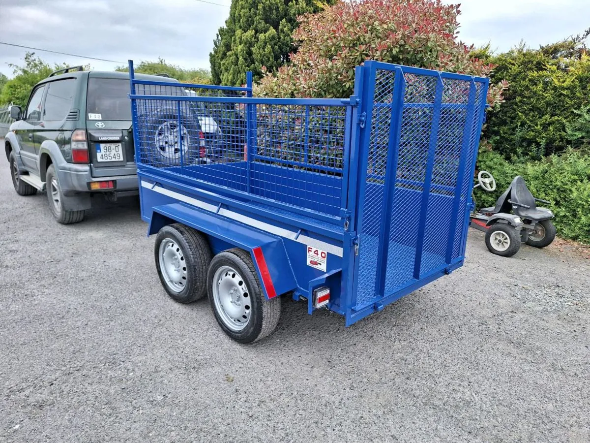 8x4 f40 trailer - Image 3