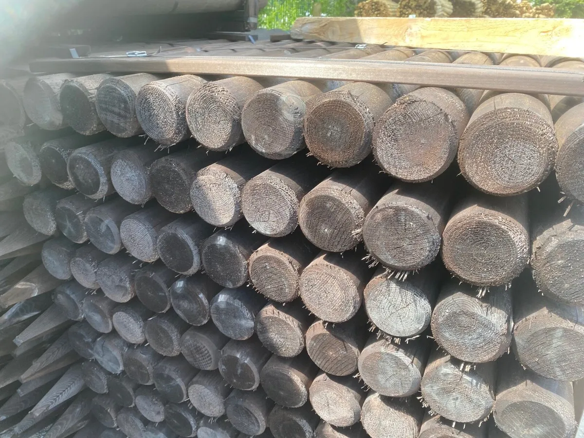 Dura 2 treated timber - Image 2