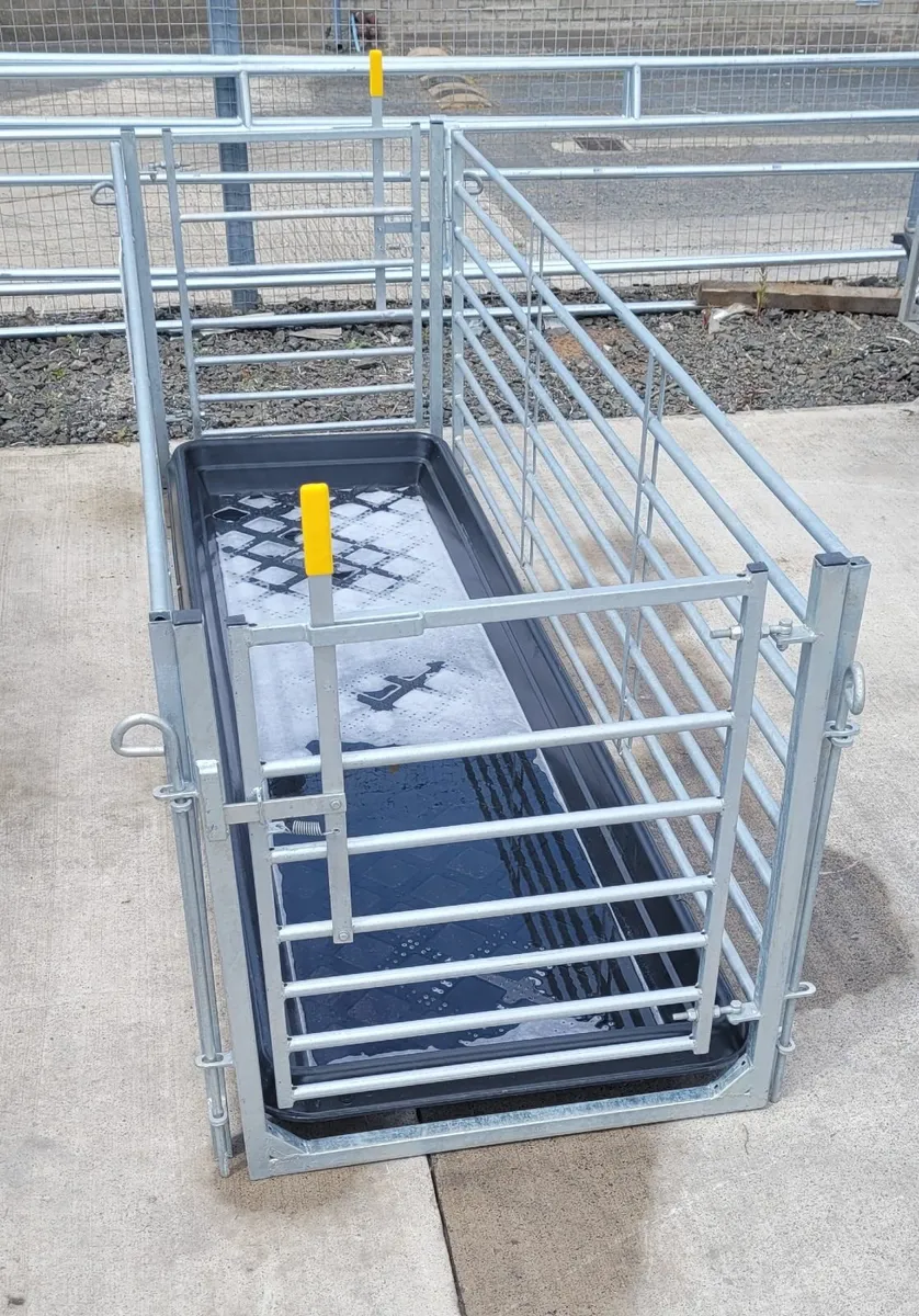 10ft x 3ft Footbath, for TAMS 3 grant. - Image 1