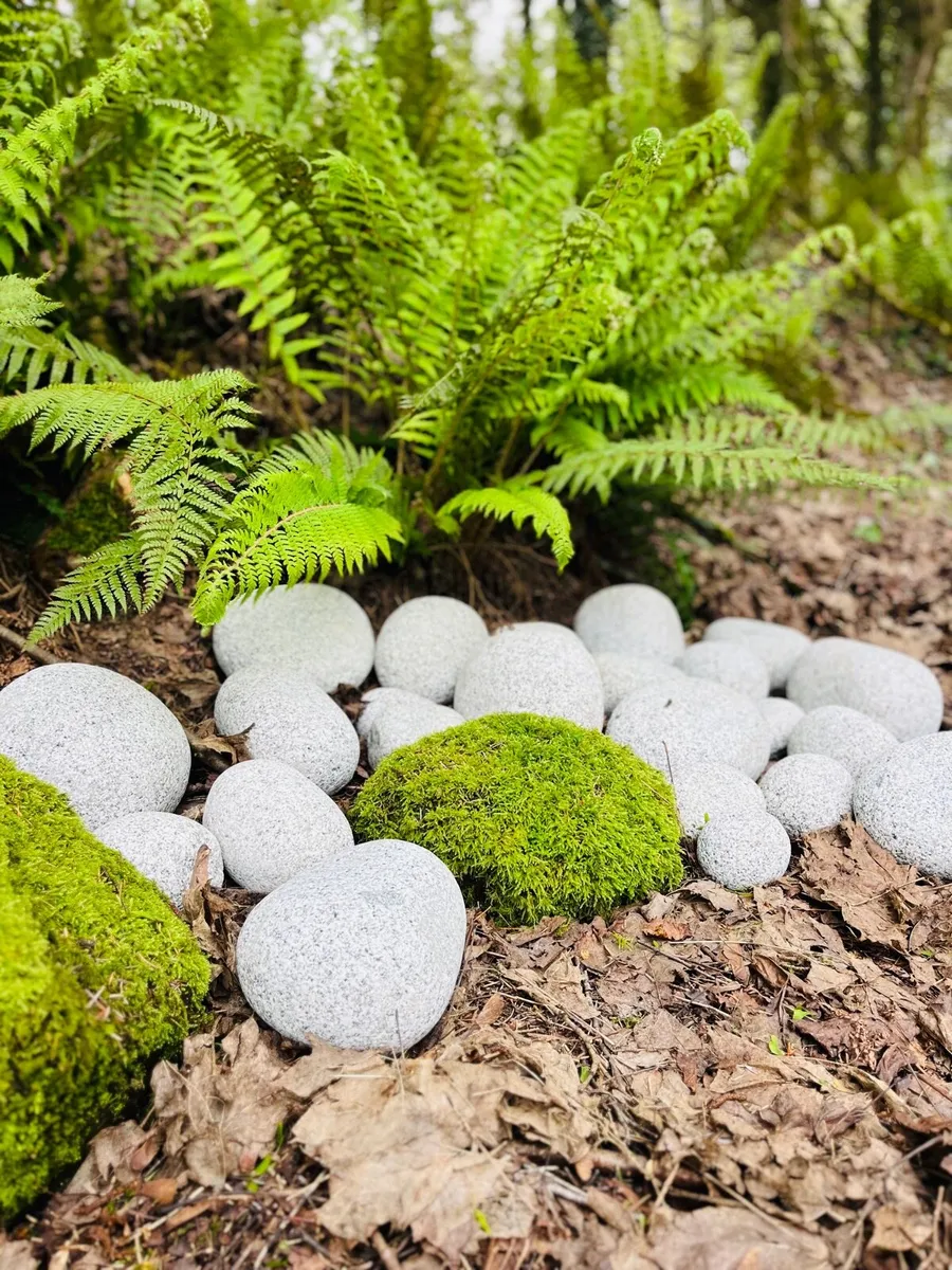 Stone - Image 3
