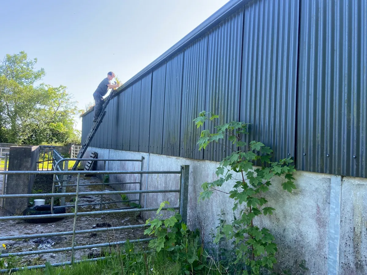 We do painting of sheds nationwide - Image 1