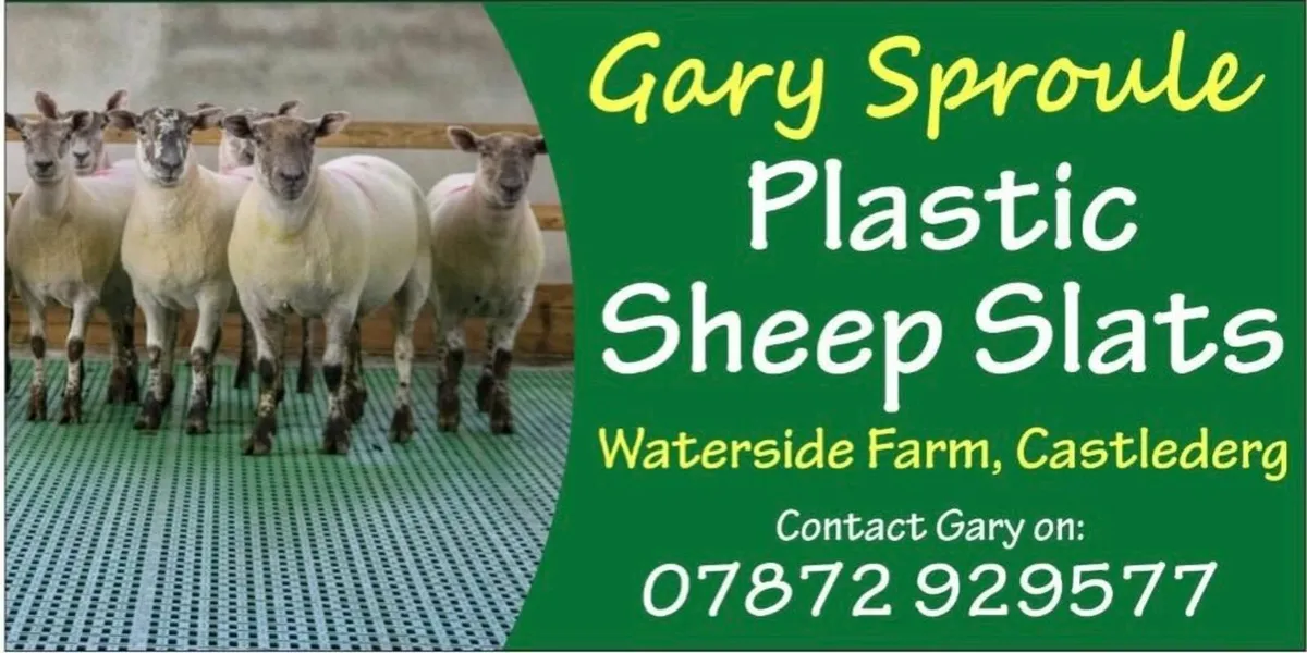 Plastic Sheep Slats