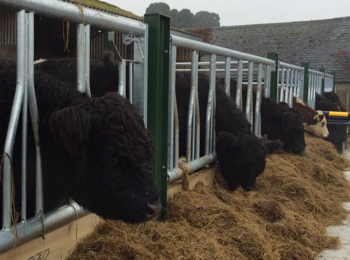 Feed barriers, standard and made to measure - Image 1