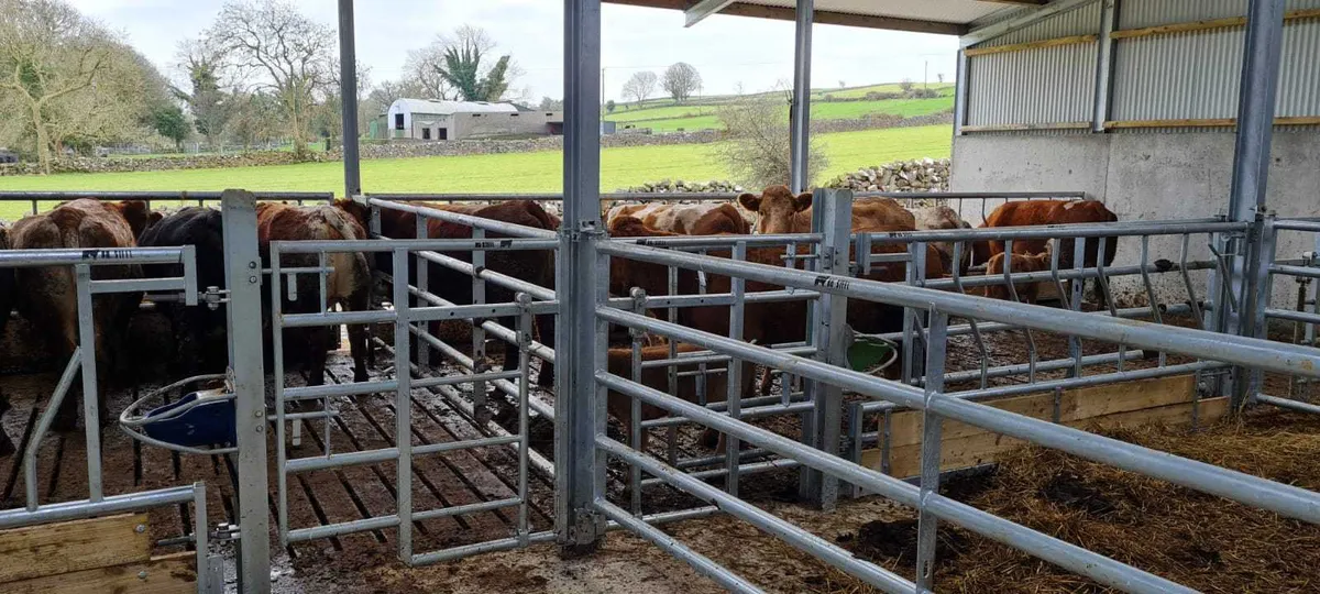 Feed barriers, standard and made to measure - Image 3