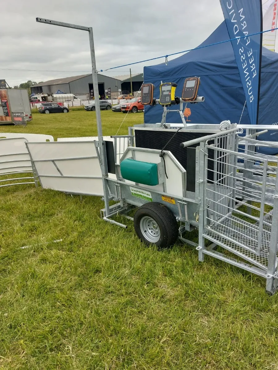 Mobile Sheep Handling Race/equipment/Weighing - Image 4