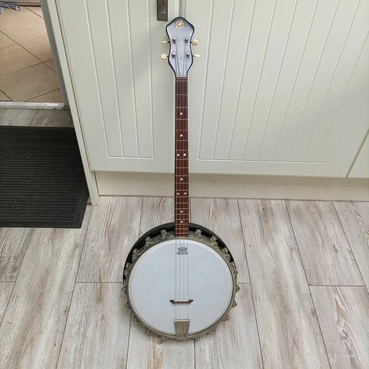 Framus banjo deals 4 string